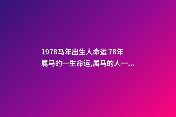 1978马年出生人命运 78年属马的一生命运,属马的人一生的命运是怎么样的-第1张-观点-玄机派